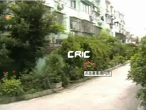 金龙花苑玫瑰园楼盘实景